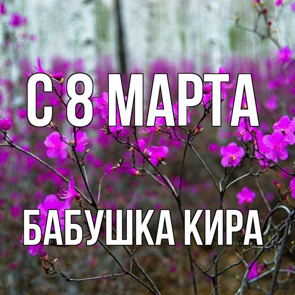 Открытка на каждый день с именем, Бабушка-Кира С 8 МАРТА дикие цветы Прикольная открытка с пожеланием онлайн скачать бесплатно 
