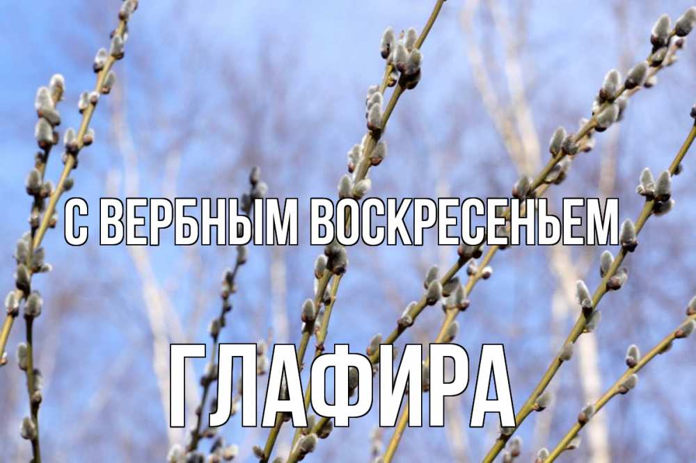 Открытка на каждый день с именем, Глафира С вербным воскресеньем верба Прикольная открытка с пожеланием онлайн скачать бесплатно 