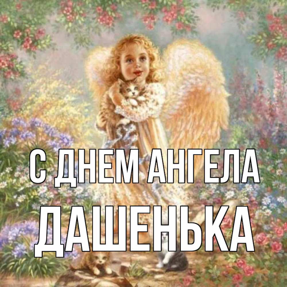 Открытка на каждый день с именем, Дашенька С днем ангела держит котенка Прикольная открытка с пожеланием онлайн скачать бесплатно 