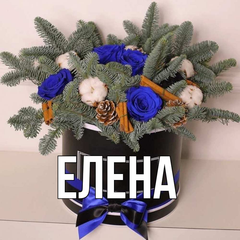 Открытка на каждый день с именем, Елена Главная короче кто то загрузил эти шишки Прикольная открытка с пожеланием онлайн скачать бесплатно 