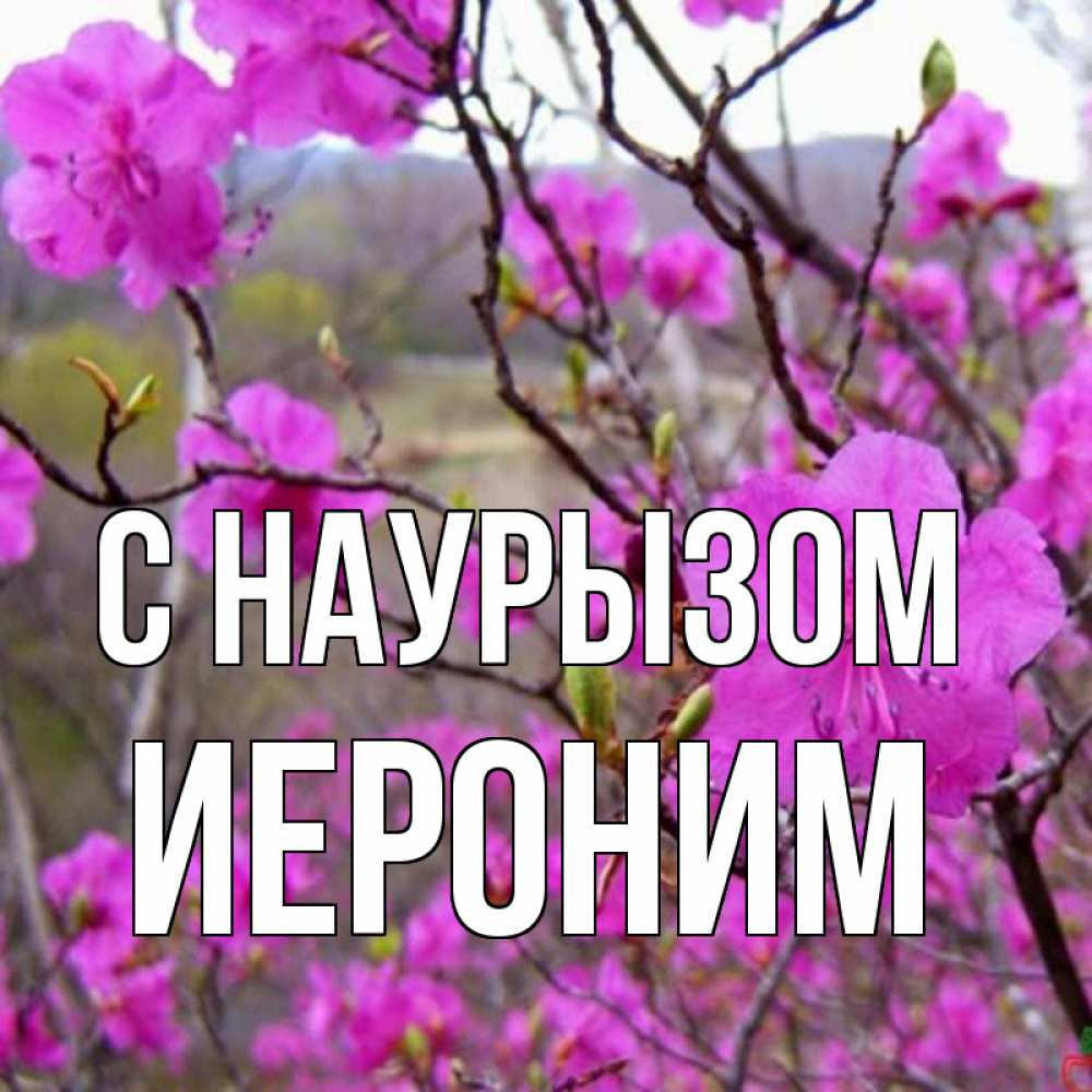 Открытка на каждый день с именем, Иероним С наурызом праздник весны наурыз Прикольная открытка с пожеланием онлайн скачать бесплатно 