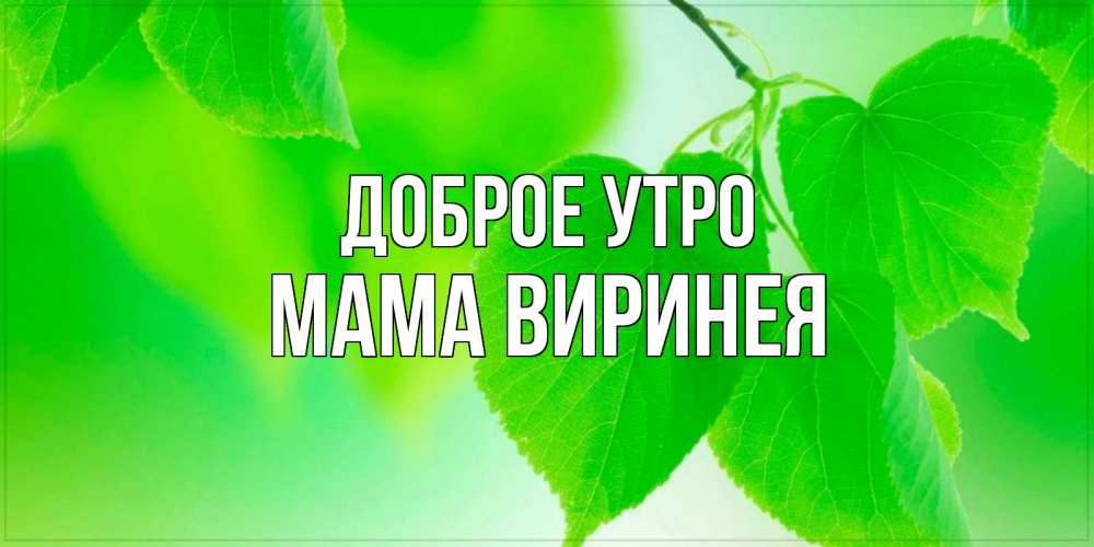 Открытка на каждый день с именем, Мама-Виринея Доброе утро доброе утро с березовыми листьями Прикольная открытка с пожеланием онлайн скачать бесплатно 