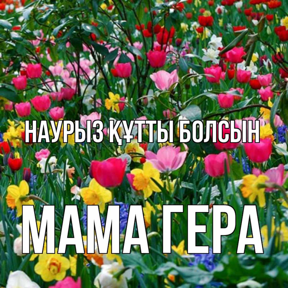 Открытка на каждый день с именем, Мама-Гера Наурыз құтты болсын с наурызом поздравления для женщины Прикольная открытка с пожеланием онлайн скачать бесплатно 