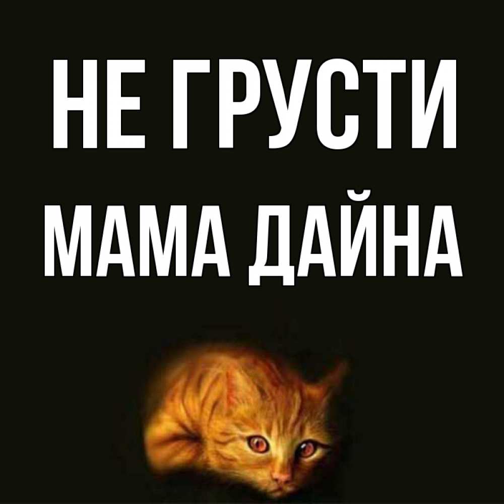 Открытка на каждый день с именем, Мама-Дайна Не грусти лежащий кот в темноте Прикольная открытка с пожеланием онлайн скачать бесплатно 
