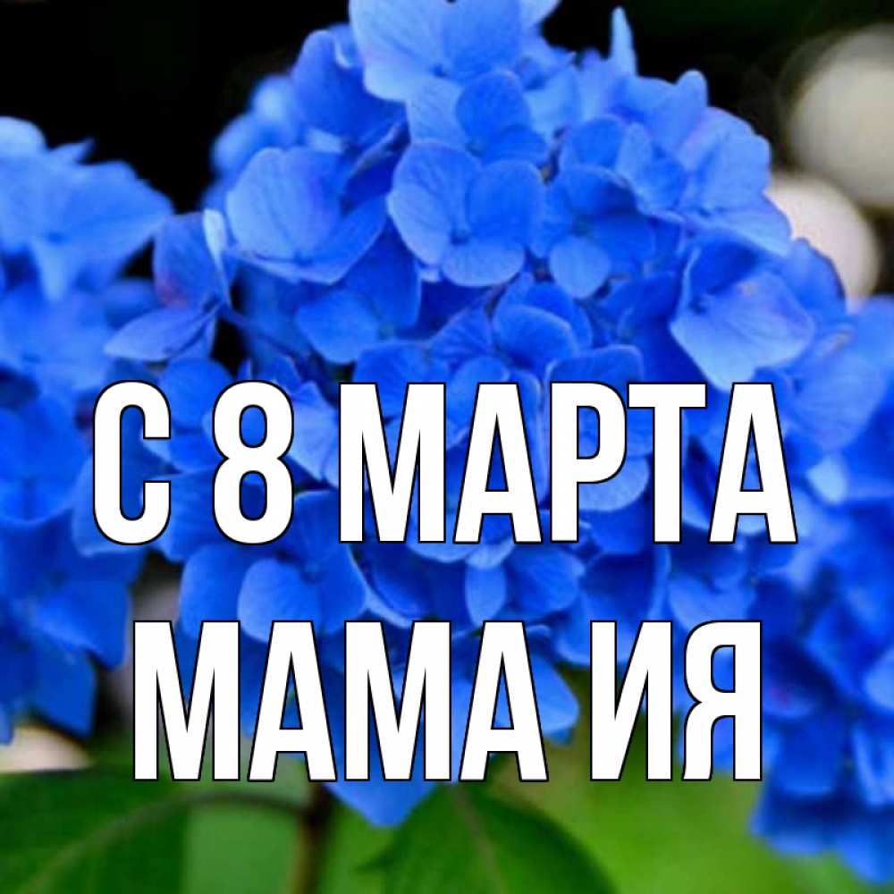 Открытка на каждый день с именем, Мама-Ия С 8 МАРТА синие цветы Прикольная открытка с пожеланием онлайн скачать бесплатно 