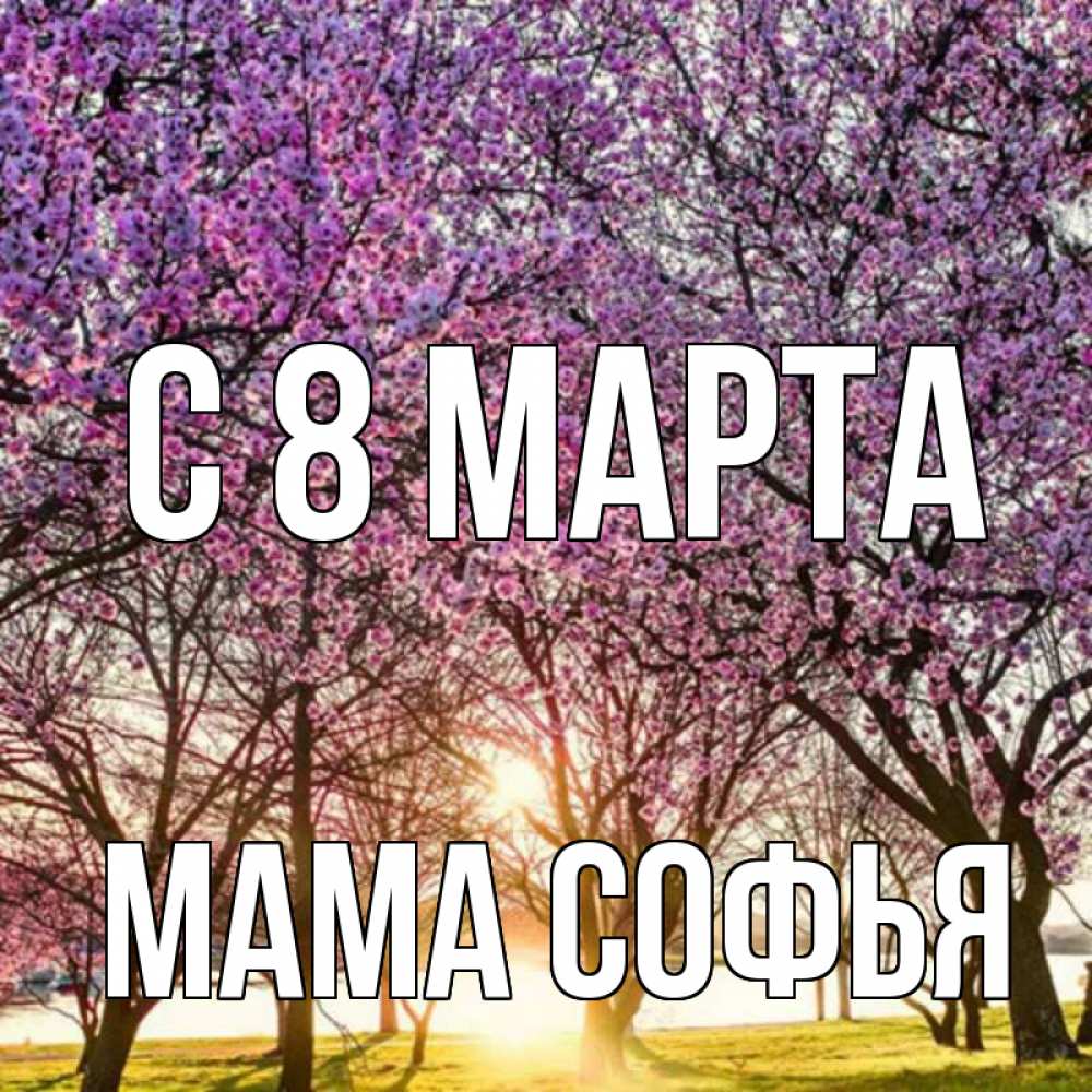 Открытка на каждый день с именем, Мама-Софья С 8 МАРТА международный женский день Прикольная открытка с пожеланием онлайн скачать бесплатно 