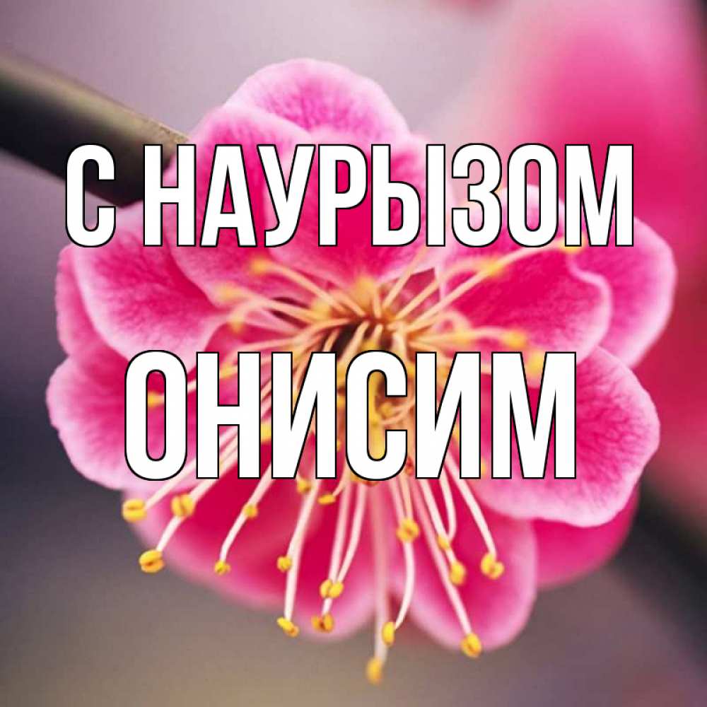 Открытка на каждый день с именем, Онисим С наурызом цветы Прикольная открытка с пожеланием онлайн скачать бесплатно 