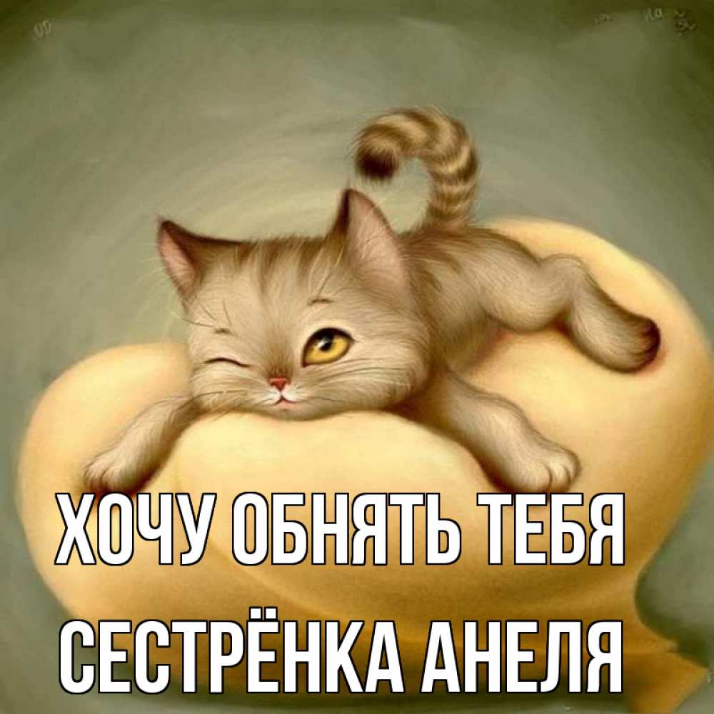 Открытка на каждый день с именем, Сестрёнка-Анеля Хочу обнять тебя кошечка Прикольная открытка с пожеланием онлайн скачать бесплатно 