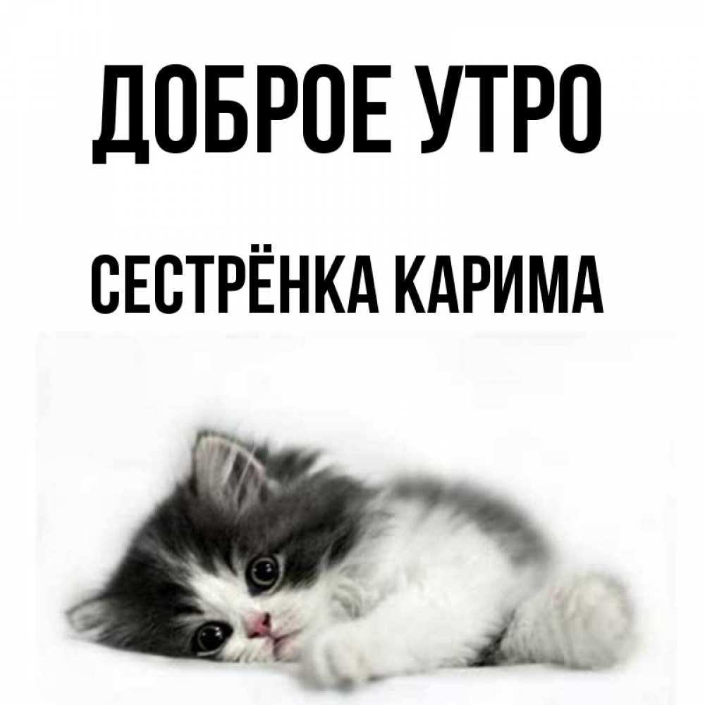 Открытка на каждый день с именем, Сестрёнка-Карима Доброе утро кот лапки Прикольная открытка с пожеланием онлайн скачать бесплатно 