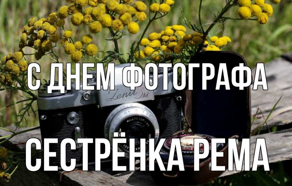 Открытка на каждый день с именем, Сестрёнка-Рема С днем фотографа с днем фотографа Прикольная открытка с пожеланием онлайн скачать бесплатно 