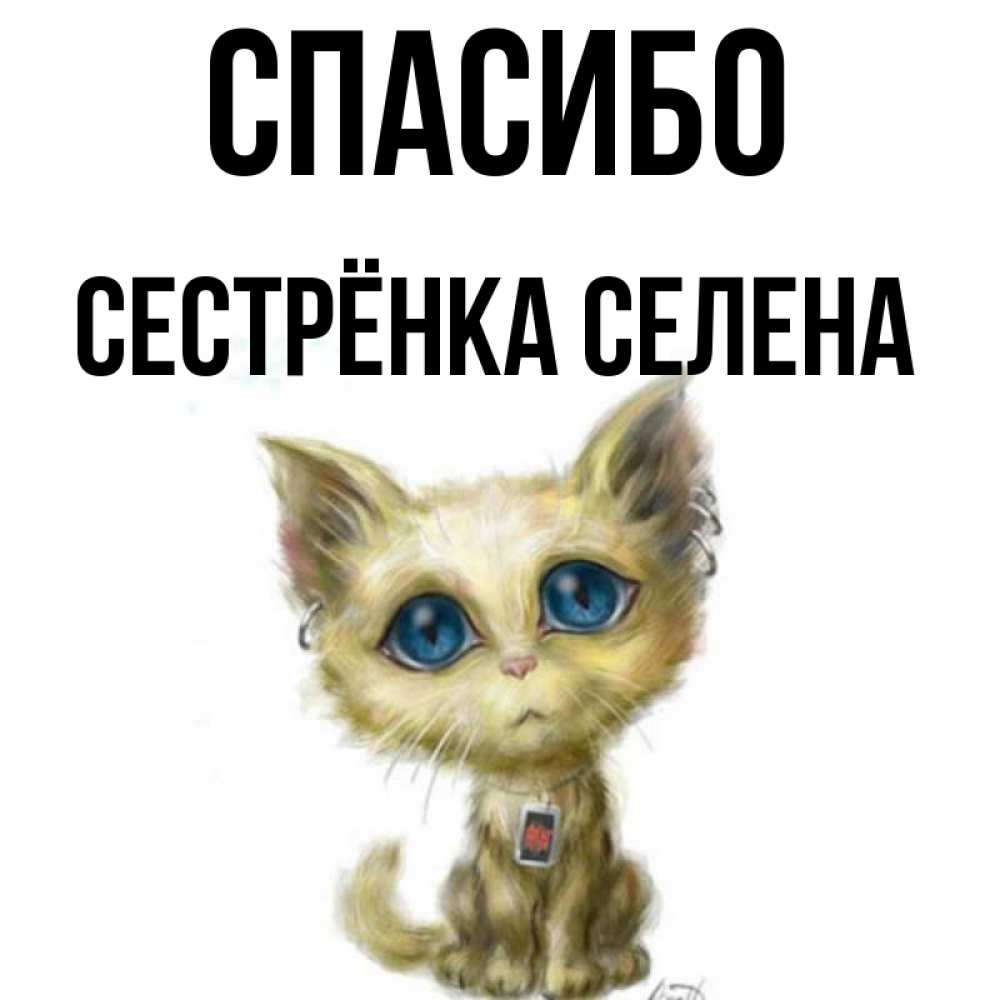 Открытка на каждый день с именем, Сестрёнка-Селена Спасибо рисованный кот благодарит вас Прикольная открытка с пожеланием онлайн скачать бесплатно 