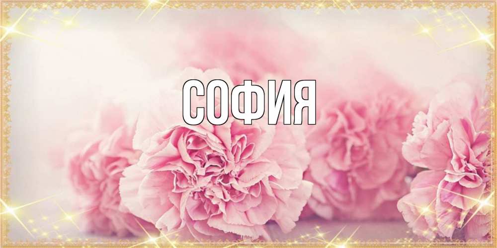 Открытка на каждый день с именем, София Главная розовые цветы на международный женский день Прикольная открытка с пожеланием онлайн скачать бесплатно 