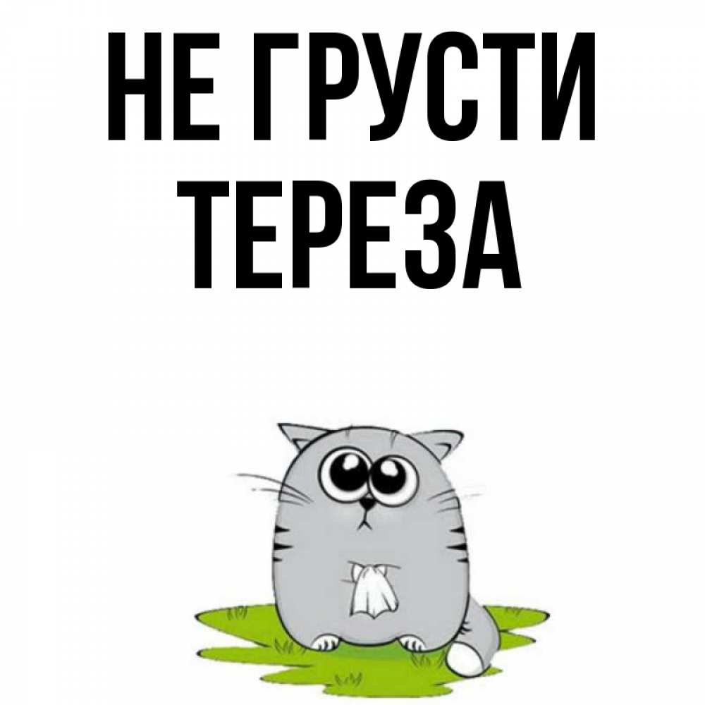 Открытка на каждый день с именем, Тереза Не грусти грустный котяра Прикольная открытка с пожеланием онлайн скачать бесплатно 