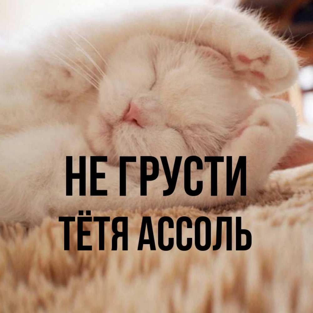 Открытка на каждый день с именем, Тётя-Ассоль Не грусти Котенок спит Прикольная открытка с пожеланием онлайн скачать бесплатно 