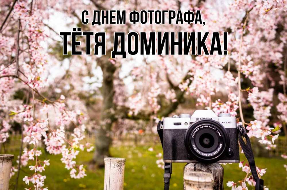 Открытка на каждый день с именем, Тётя-Доминика С днем фотографа сирень с днем фотографа, фотоаппарат Прикольная открытка с пожеланием онлайн скачать бесплатно 