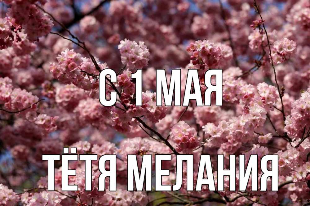 Открытка на каждый день с именем, Тётя-Мелания С 1 мая С 1 мая Прикольная открытка с пожеланием онлайн скачать бесплатно 