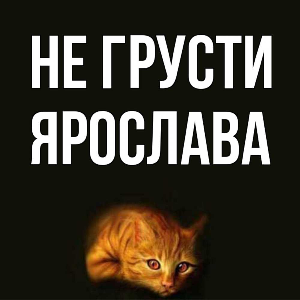 Открытка на каждый день с именем, Ярослава Не грусти лежащий кот в темноте Прикольная открытка с пожеланием онлайн скачать бесплатно 