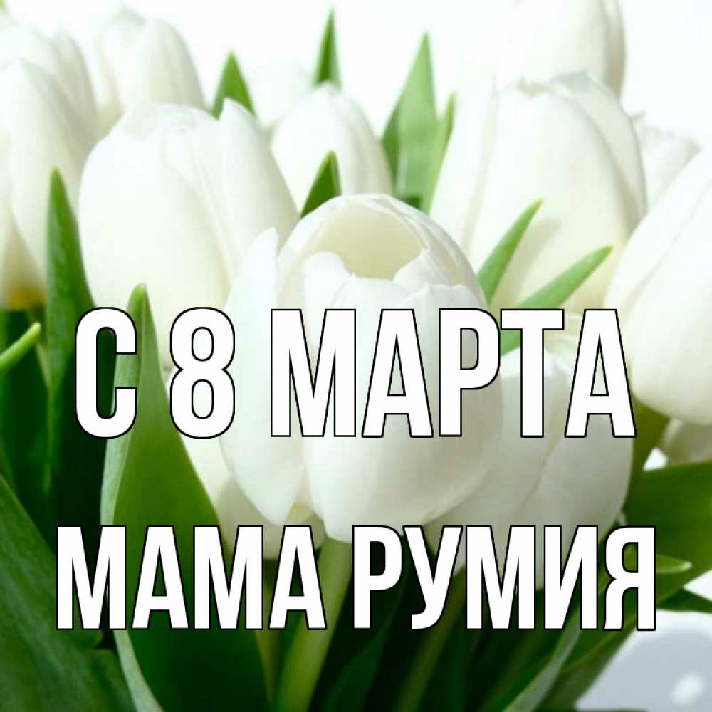 Открытка на каждый день с именем, Мама-Румия С 8 МАРТА цветы Прикольная открытка с пожеланием онлайн скачать бесплатно 
