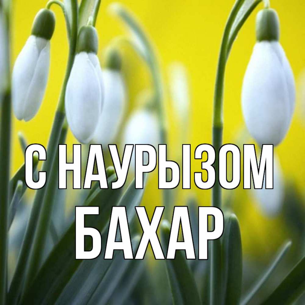 Открытка на каждый день с именем, Бахар С наурызом весенние цветы Прикольная открытка с пожеланием онлайн скачать бесплатно 