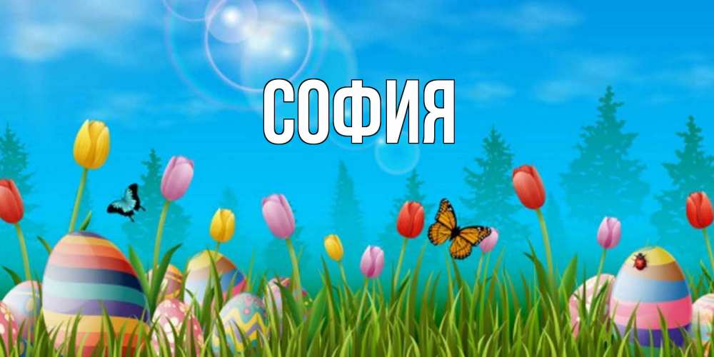 Открытка на каждый день с именем, София Главная небо и тюльпаны с бабочкой Прикольная открытка с пожеланием онлайн скачать бесплатно 