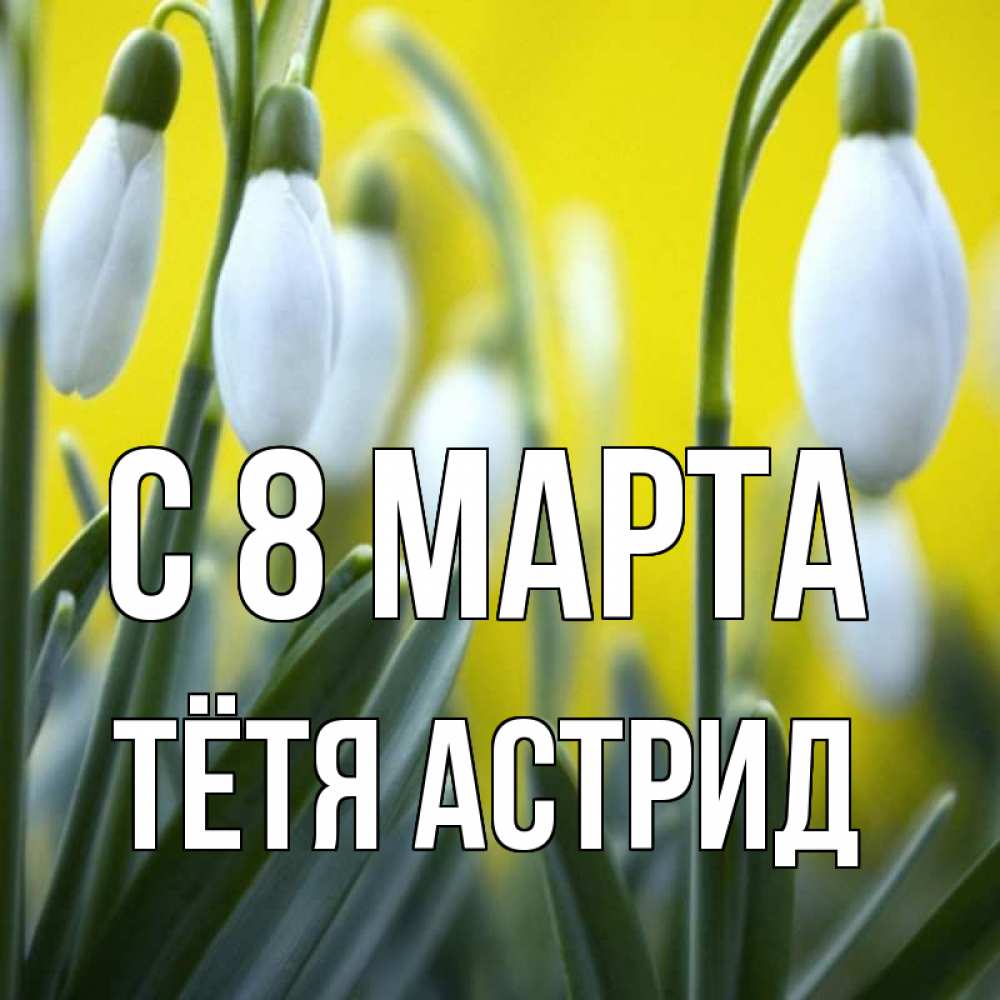 Открытка на каждый день с именем, Тётя-Астрид С 8 марта весенние цветы Прикольная открытка с пожеланием онлайн скачать бесплатно 