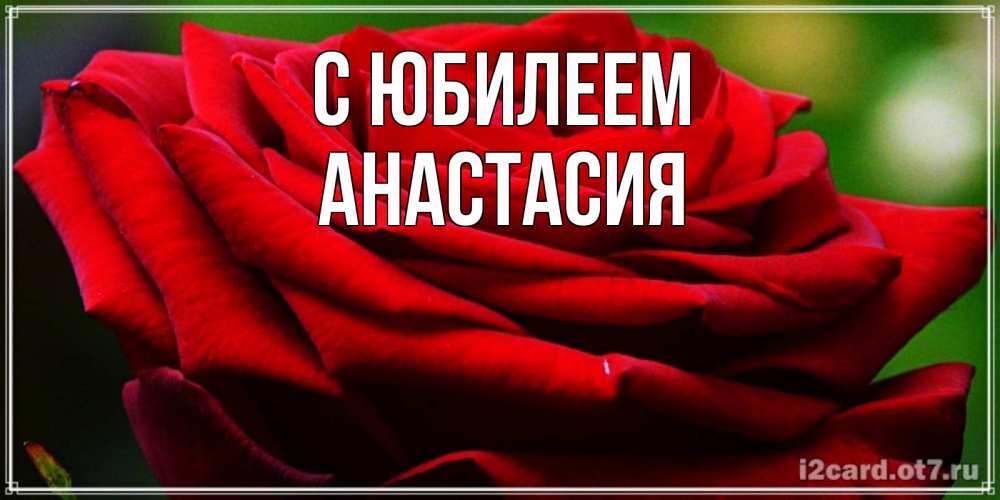 Открытка на каждый день с именем, Анастасия С юбилеем розочка очень красивая Прикольная открытка с пожеланием онлайн скачать бесплатно 