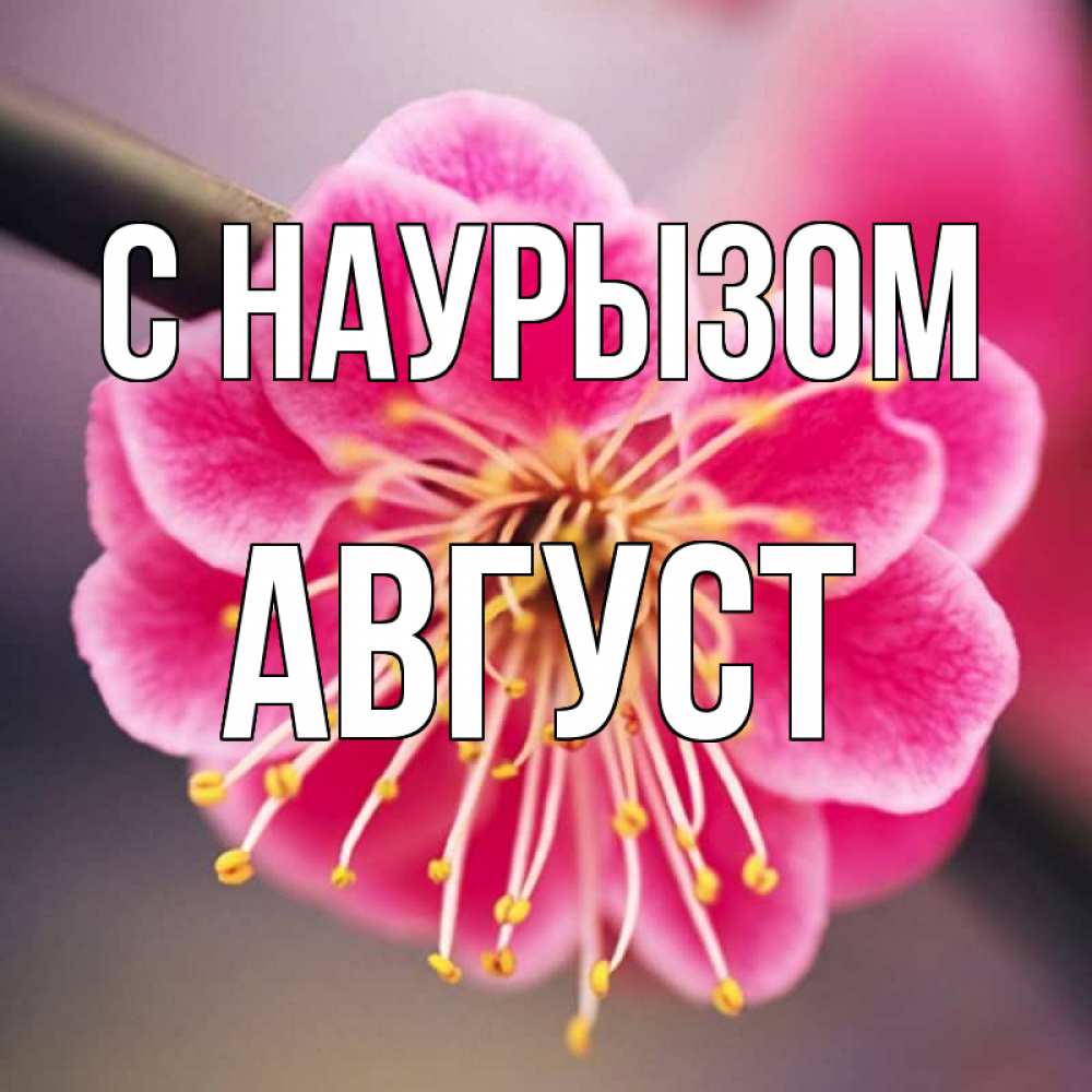 Открытка на каждый день с именем, Август С наурызом цветы Прикольная открытка с пожеланием онлайн скачать бесплатно 