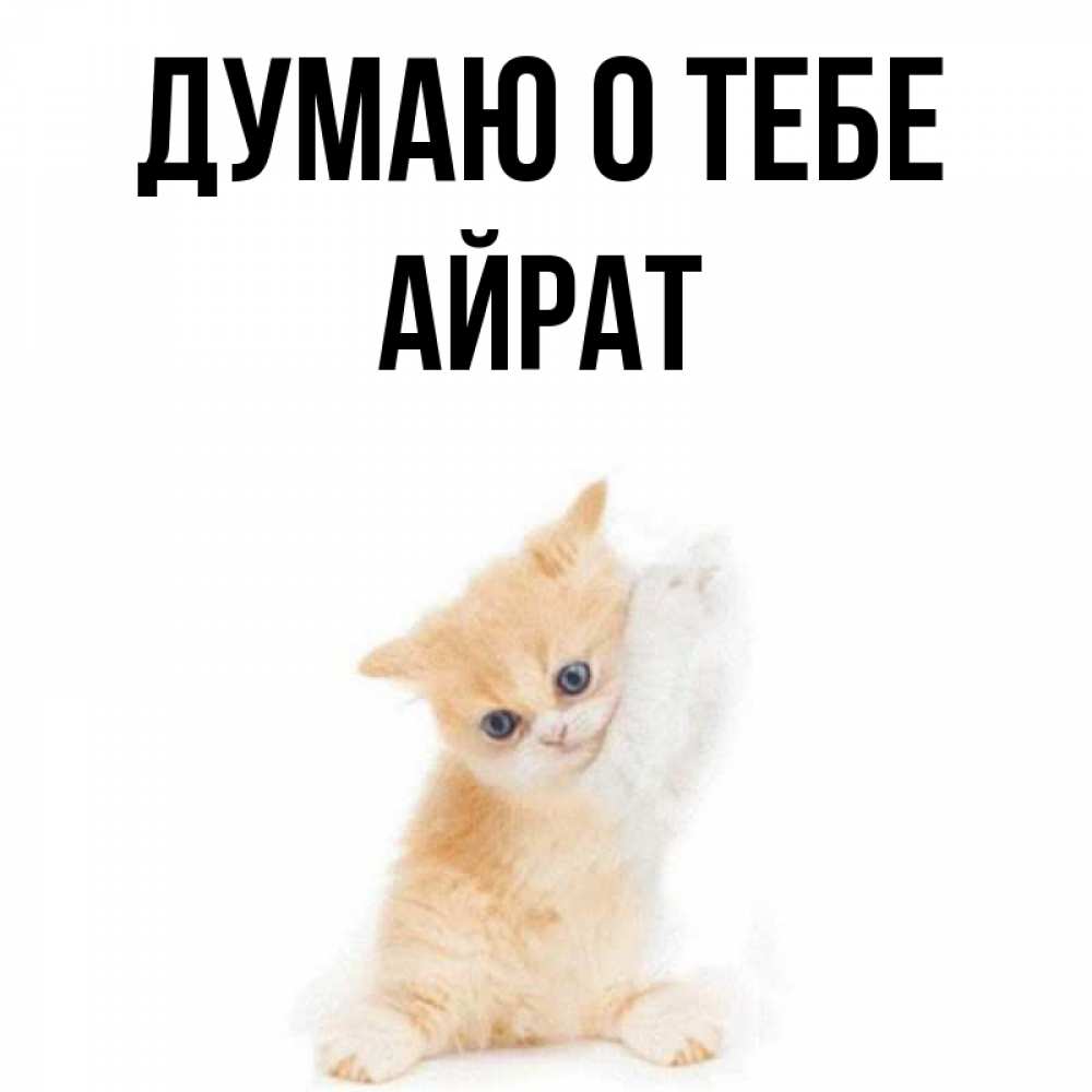 Открытка на каждый день с именем, Айрат Думаю о тебе зверушки и милота Прикольная открытка с пожеланием онлайн скачать бесплатно 