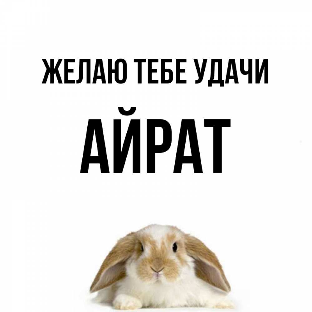 Открытка на каждый день с именем, Айрат Желаю тебе удачи открытки с произвольным текстом который можно вставить в открытку и создать ее самостоятельно бесплатно онлайн Прикольная открытка с пожеланием онлайн скачать бесплатно 