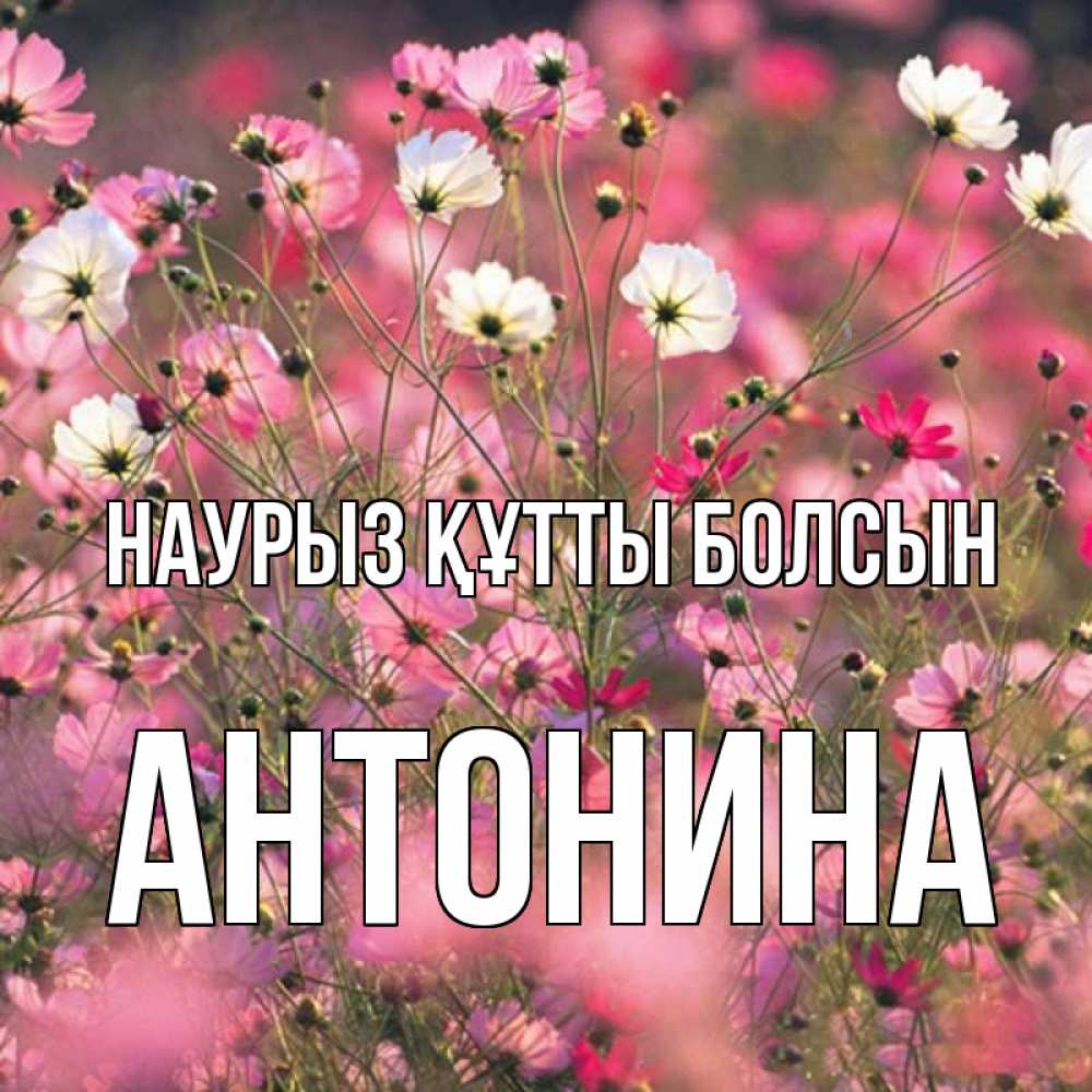 Открытка на каждый день с именем, Антонина Наурыз құтты болсын красиво 1 Прикольная открытка с пожеланием онлайн скачать бесплатно 