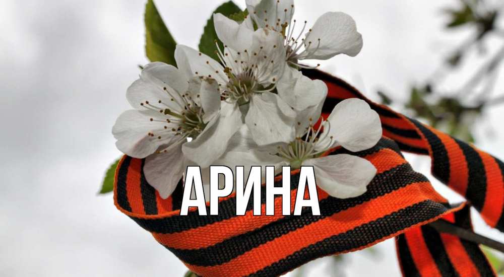 Открытка на каждый день с именем, Арина Главная 9 мая Прикольная открытка с пожеланием онлайн скачать бесплатно 