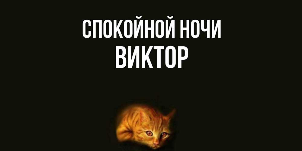Открытка на каждый день с именем, Виктор Спокойной ночи кот Прикольная открытка с пожеланием онлайн скачать бесплатно 