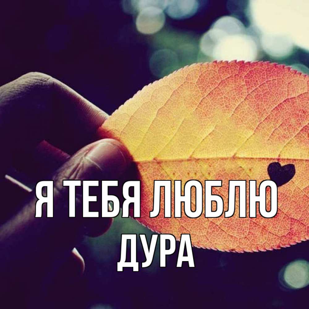 Открытка на каждый день с именем, Дура Я тебя люблю держу лист Прикольная открытка с пожеланием онлайн скачать бесплатно 