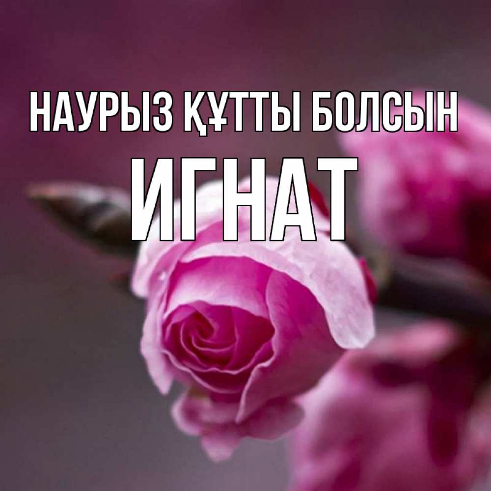 Открытка на каждый день с именем, Игнат Наурыз құтты болсын весна Прикольная открытка с пожеланием онлайн скачать бесплатно 