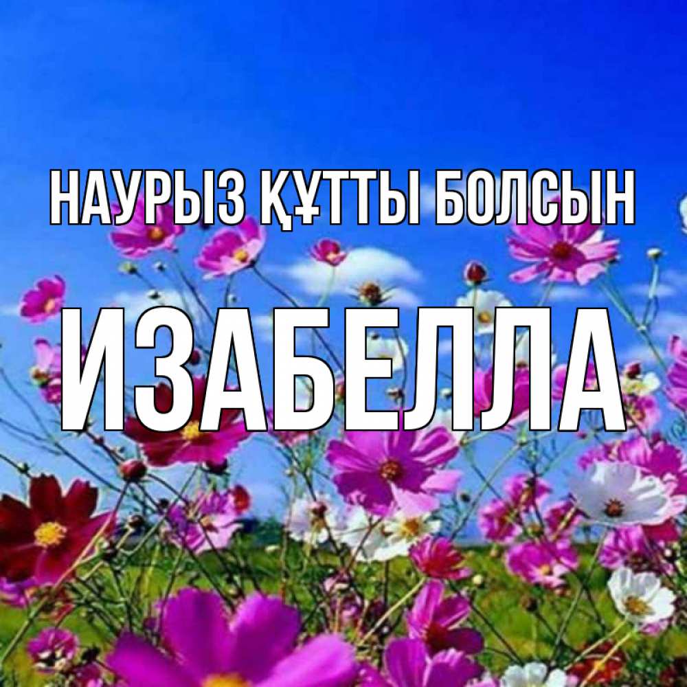 Открытка на каждый день с именем, Изабелла Наурыз құтты болсын цветы Прикольная открытка с пожеланием онлайн скачать бесплатно 