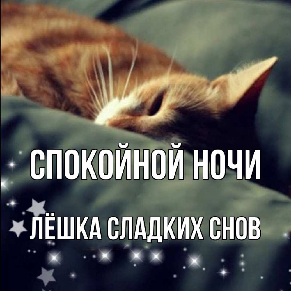 Открытка на каждый день с именем, ЛЁШКА-СЛАДКИХ-СНОВ Спокойной ночи кроватка Прикольная открытка с пожеланием онлайн скачать бесплатно 
