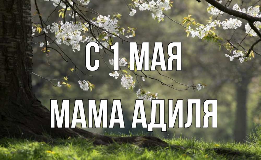 Открытка на каждый день с именем, Мама-Адиля С 1 мая С 1 мая Прикольная открытка с пожеланием онлайн скачать бесплатно 