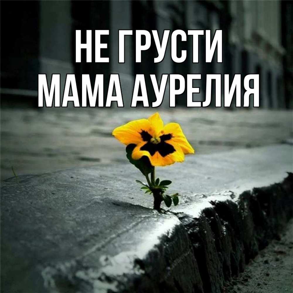 Открытка на каждый день с именем, Мама-Аурелия Не грусти не сдавайся Прикольная открытка с пожеланием онлайн скачать бесплатно 