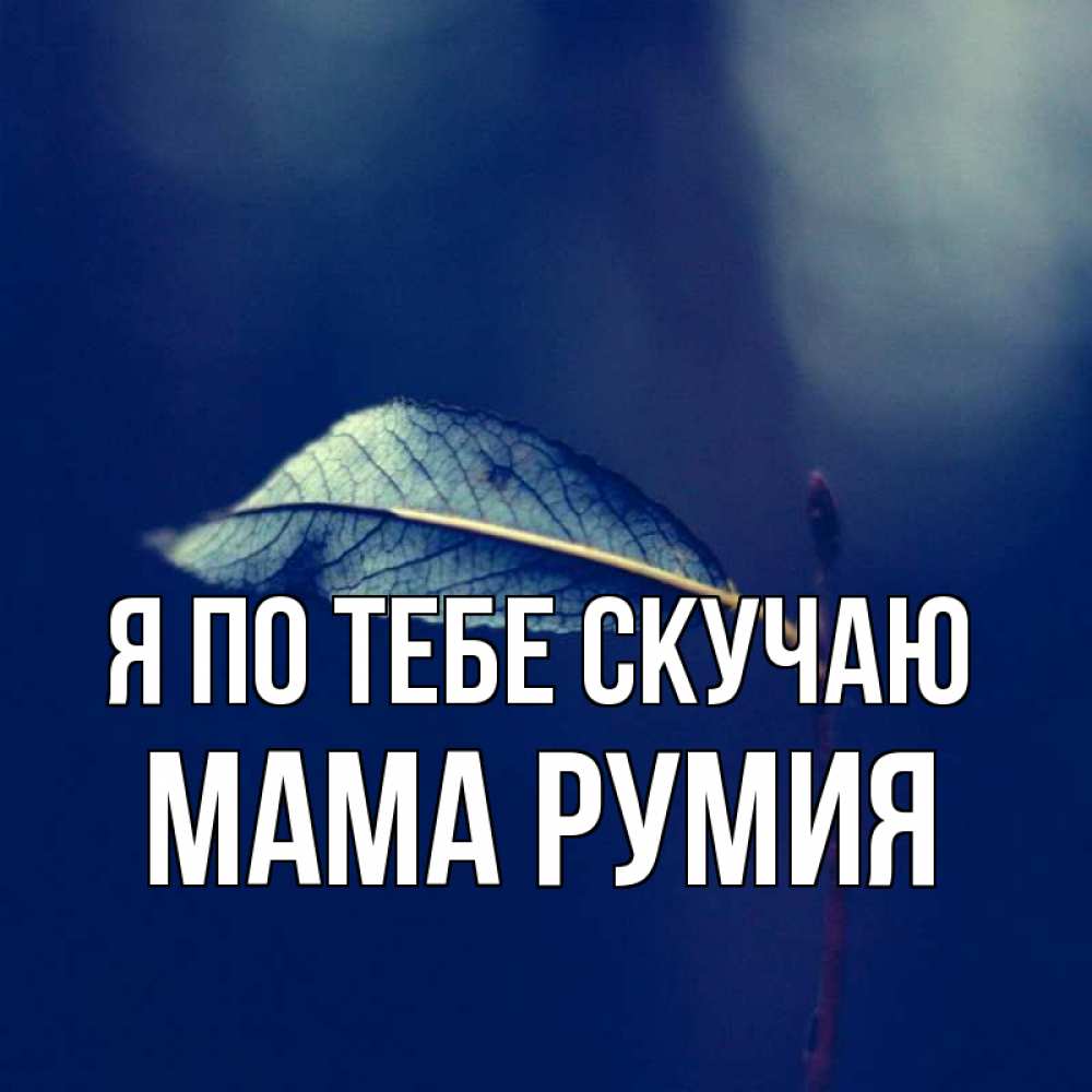 Открытка на каждый день с именем, Мама-Румия Я по тебе скучаю одна ветка 1 Прикольная открытка с пожеланием онлайн скачать бесплатно 
