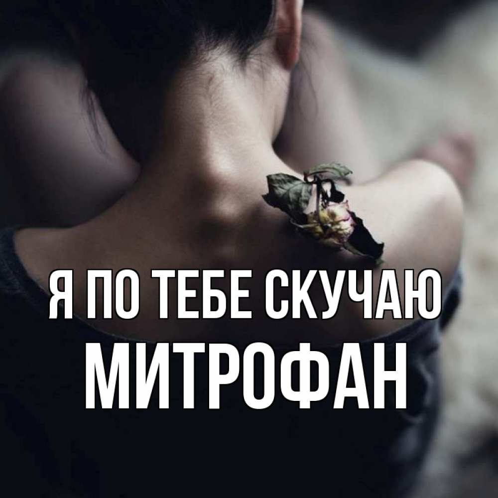 Открытка на каждый день с именем, Митрофан Я по тебе скучаю засох цветок Прикольная открытка с пожеланием онлайн скачать бесплатно 