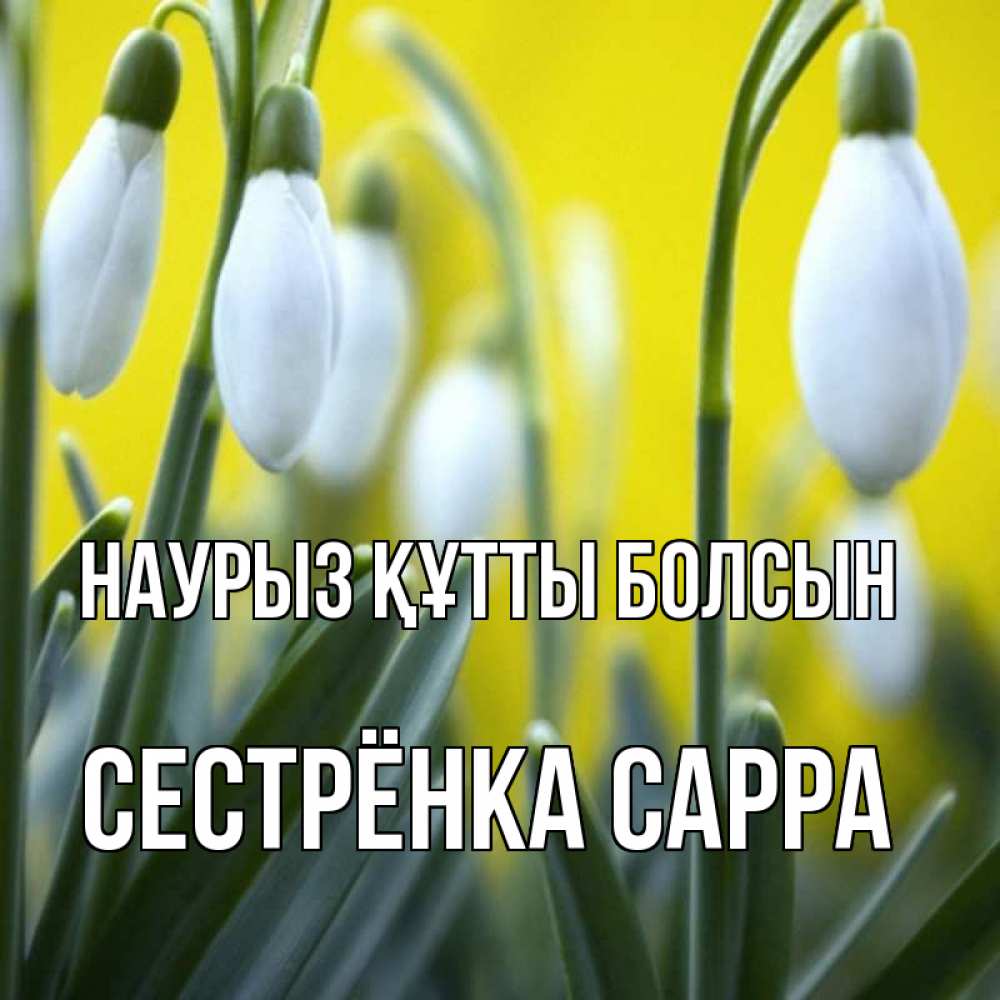 Открытка на каждый день с именем, Сестрёнка-Сарра Наурыз құтты болсын весенние цветы Прикольная открытка с пожеланием онлайн скачать бесплатно 