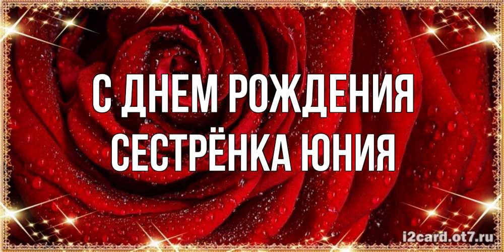 Открытка на каждый день с именем, Сестрёнка-Юния С днем рождения роса на розе блестящая в лучах солнца Прикольная открытка с пожеланием онлайн скачать бесплатно 