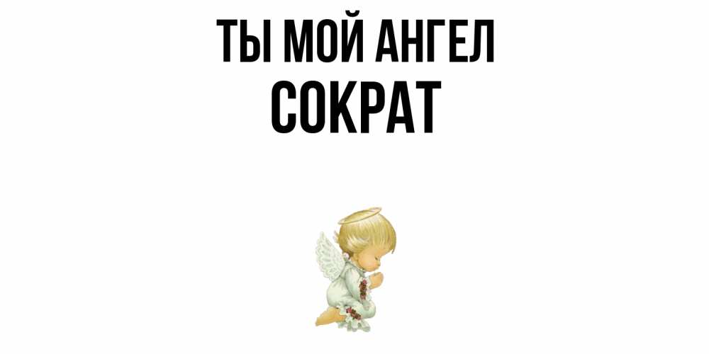 Открытка на каждый день с именем, Сократ Ты мой ангел ангел Прикольная открытка с пожеланием онлайн скачать бесплатно 