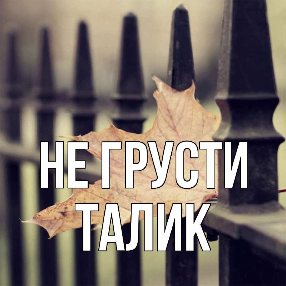 Открытка на каждый день с именем, Талик Не грусти лист клена Прикольная открытка с пожеланием онлайн скачать бесплатно 
