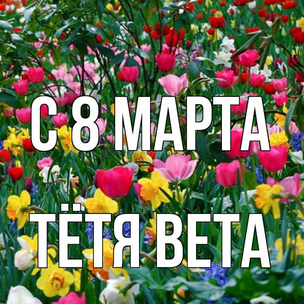 Открытка на каждый день с именем, Тётя-Вета С 8 МАРТА с международным женским днем поздравления для женщины Прикольная открытка с пожеланием онлайн скачать бесплатно 