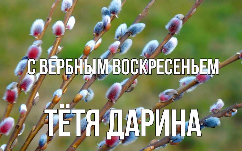 Открытка на каждый день с именем, Тётя-Дарина С вербным воскресеньем верба Прикольная открытка с пожеланием онлайн скачать бесплатно 