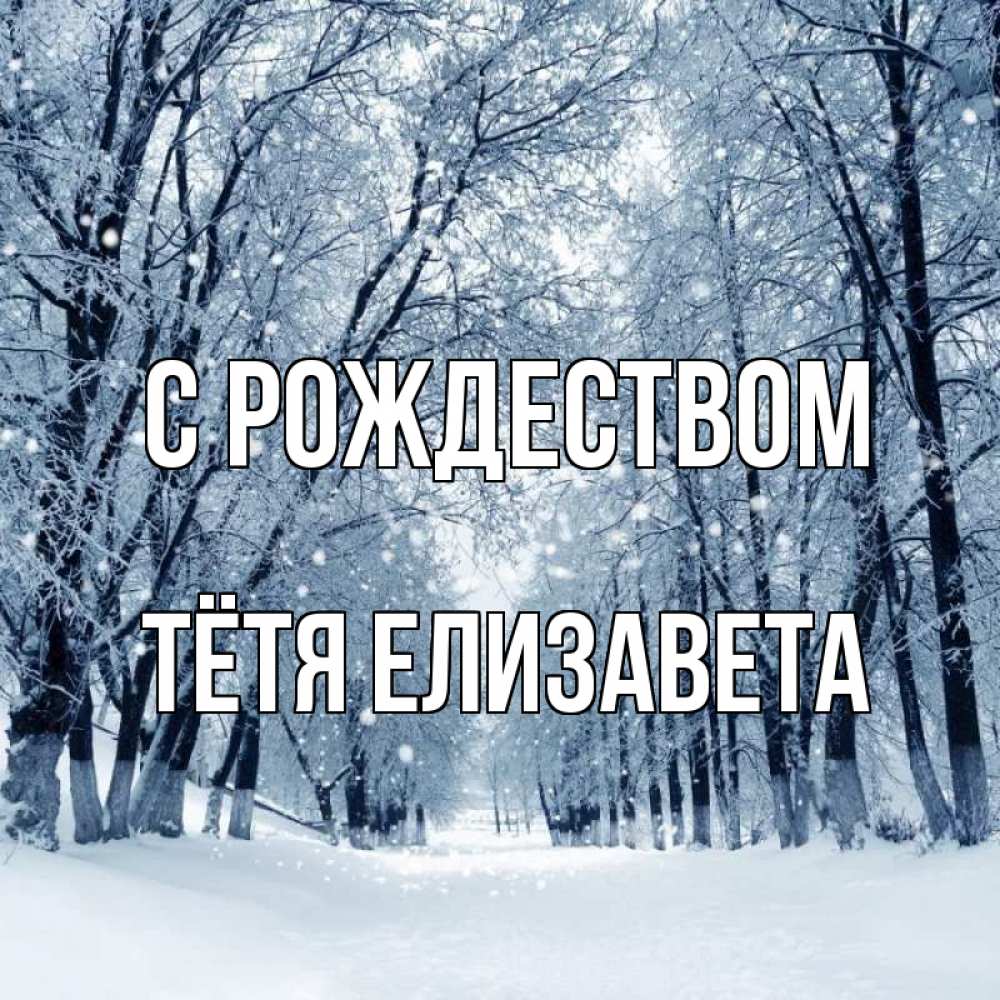 Открытка на каждый день с именем, Тётя-Елизавета С рождеством снег, лес, парк Прикольная открытка с пожеланием онлайн скачать бесплатно 