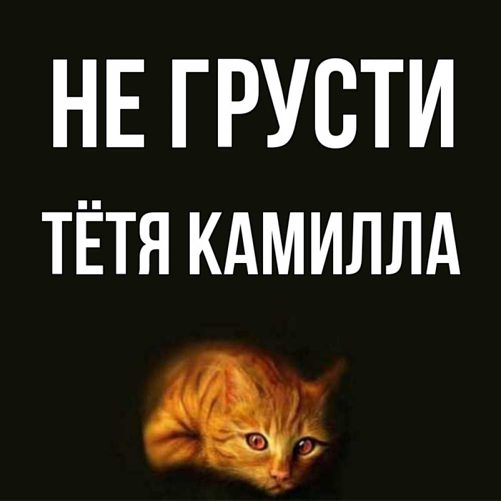 Открытка на каждый день с именем, Тётя-Камилла Не грусти лежащий кот в темноте Прикольная открытка с пожеланием онлайн скачать бесплатно 