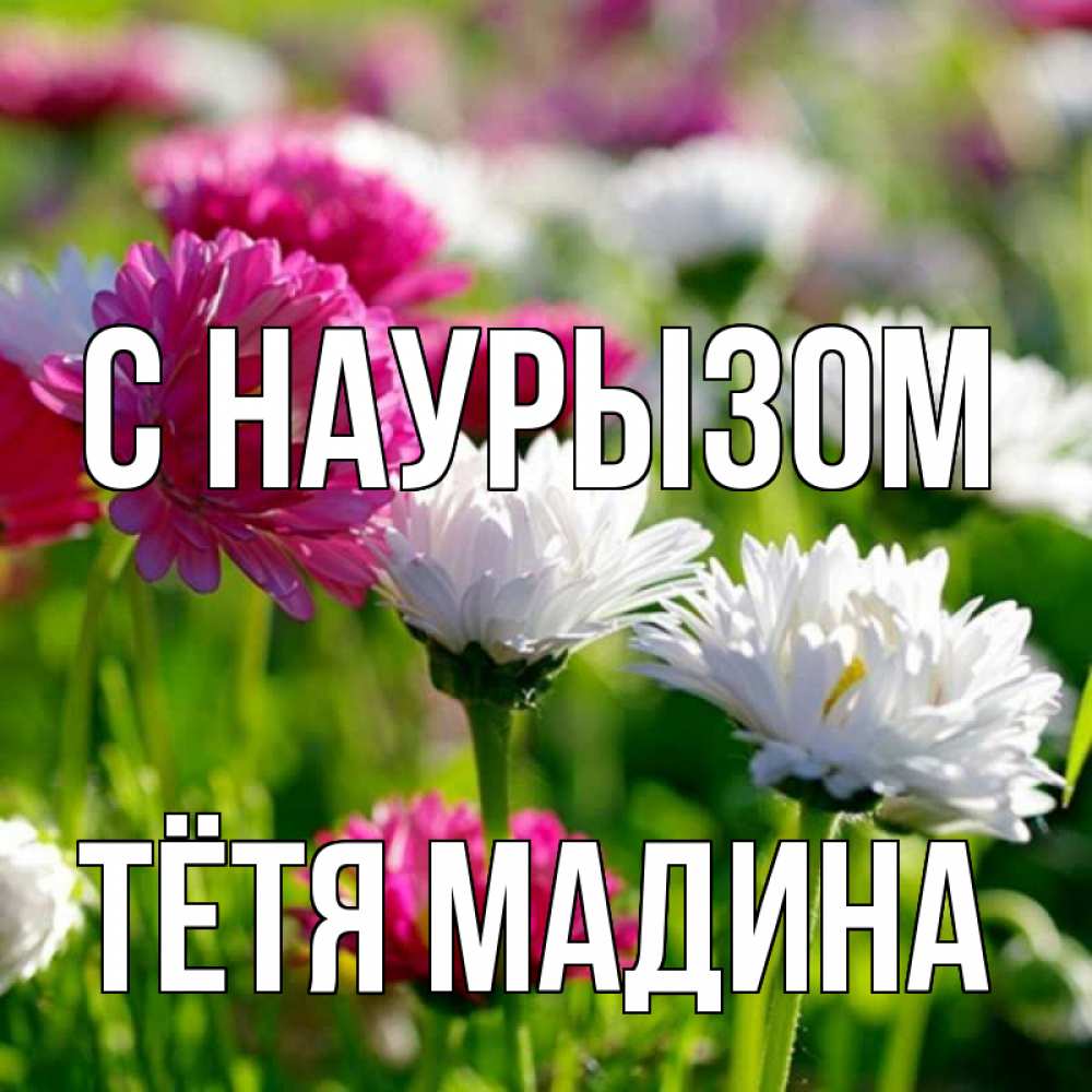 Открытка на каждый день с именем, Тётя-Мадина С наурызом праздник весны наурыз красота Прикольная открытка с пожеланием онлайн скачать бесплатно 