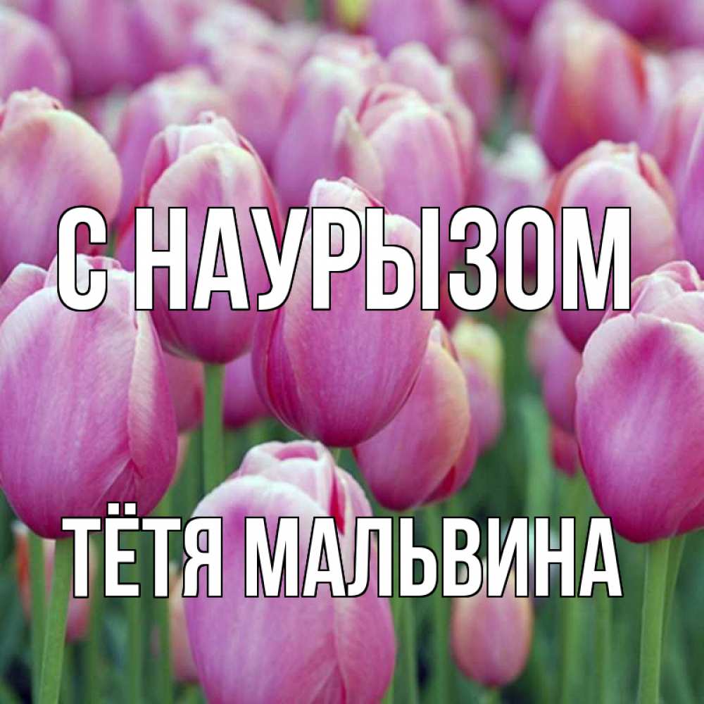Открытка на каждый день с именем, Тётя-Мальвина С наурызом праздник весны наурыз 69 Прикольная открытка с пожеланием онлайн скачать бесплатно 